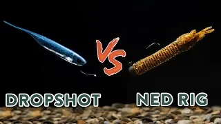 Dropshot VS. Ned Rig: When To Fish Each Of The ULTIMATE Finesse Techniques