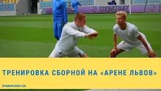 Тренировка сборной Украины на «Арене Львов» за день до матча Украина — Сербия