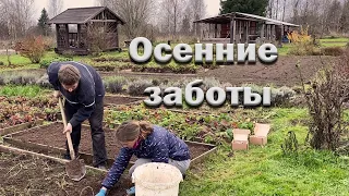 Хорь задушил всех кур// Осенние заботы// Калитки готовы