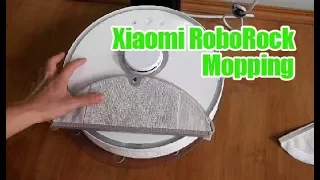 RoboRock S5 (S50) Mopping Demo