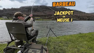 A Double Of Phenomenal Catches On The Ardennes Meuse!