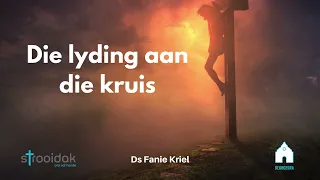 Die lyding aan die kruis