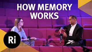 The neuroscience of memory - Ri Science Podcast with Charan Ranganath