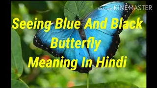 Seeing Black And Blue Butterfly Meaning In Hindi