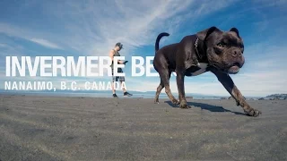 Invermere Beach Off-Leash Dog Park | Nanaimo BC