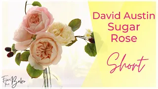 David Austin Sugar Roses ⎸ Juliet Gumpaste Rose ⎸ #Shorts #Youtubeshorts