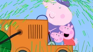 Świnka Peppa | Wysoka trawa! | Bajki Po Polsku | Peppa po Polsku