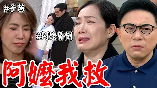 天道│EP208 麗萍巴蕊！美華拜託求子茜救阿嬤皆被狠心拒絕 朝遠聽聞阿嬤病危決定霸氣捐腎？Fight For Justice│Vidol