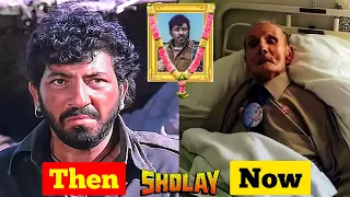 SHOLAY 1975 Film Star Cast Then and Now 2023 | Unbelievable Transformation