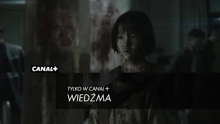 Wiedźma | Horror | zwiastun CANAL+