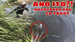 Napaatras at Napatakbo ako sa Takot sa Nahuli ko sa Lambat