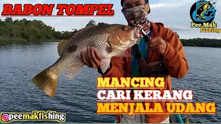 MANCING SAMBIL CARI KERANG DAPAT BANYAK -TRIP MANCING MUARA BERAU