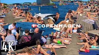 4K Waterfront Copenhagen walking tour, Islands Brygge Harbour Beach Denmark, August 2022 #dk