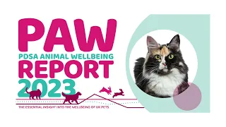 2023 PDSA Animal Wellbeing (PAW) Report | Key Findings About Cats