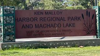 Ken Malloy Park 🦢🦆walkthrough #parksandrecreation #publicparks #ducks #losangeles #naturewalk #relax