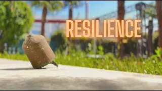 Resilience