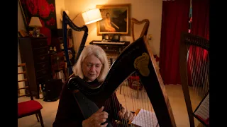 Celtic Harpist shares love of music