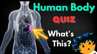 How Much Do You Know About The HUMAN BODY? Quiz/Trivia