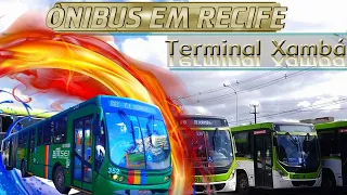 #039 - Ônibus em Recife - 039 - movimentação no terminal  Xambá -