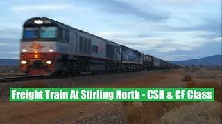 Freight Train At Stirling North - CSR & CF Class