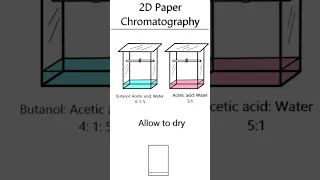 2D Paper Chromatography #animation #chromatography