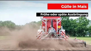 Gülle in den Mais: Besser vor der Einsaat oder in den Maisbestand?