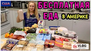 Бесплатная еда в Америке/ Отличные продукты / Помощь и поддержка населения / США/ Флорида /Влог