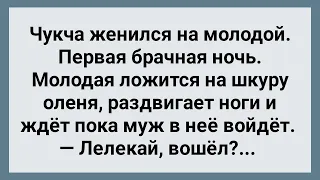 Чукча Женился на Молодой! Первая Брачная Ночь в Яранге! Сборник Свежих Анекдотов! Юмор!