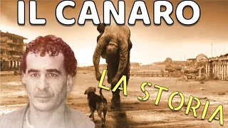 La storia del Canaro della Magliana the Dogman