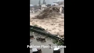 Pakistan Flood Live video #shorts #Pakistan #flood #emergency