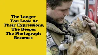 50 Wholesome Cat Posts That Will Hopefully Make Your Day - Adroable cat