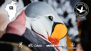 FIRST EVER Filmed Hunt for King Eiders in Greenland - The Journey Within, Waterfowl Slam