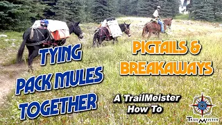 How to tie pack mules together - Pig tails and Breakaways