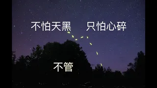 虫儿飞-歌词字幕_钢琴伴奏_高清KTV伴奏__去人声_Karaoke_Minus One_Instrumental