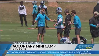 Panthers start voluntary mini camp, prepare for NFL Draft