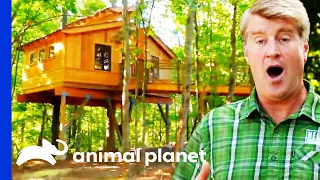 Pete Builds A Treehouse In This Gorgeous Nature Preserve! | Treehouse Masters