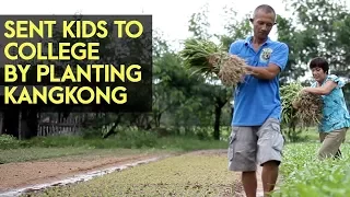 Kangkong Farming: Can You Really Sent 4 Kids to College by just Planting Chinese Kangkong?
