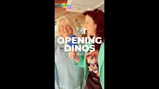 mallorca24tv - 🎉 Opening 🦕 DINOS ✨ Cala Ratjada 🧨 Es war der Burner! 💛💚💙💜🤎🖤