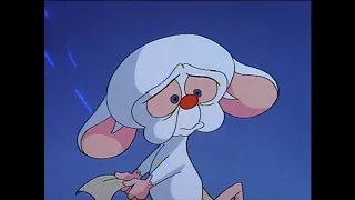 Genuinely the saddest scene from Pinky And The Brain