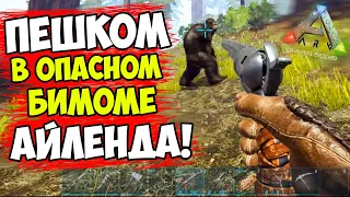 ОПАСНЫЙ ПОХОД В ЛЕС в ARK Survival Evolved! ПВЕ на ПВП! ВЫЖИВАНИЕ НА БЕГИНЕРАХ В АРК #3