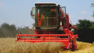 ✰Bizon w Polu✰Czyli Żniwa 2020 w Łódzkim 🌾