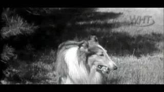 Lassie - SEASON 2