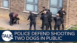Met Police Defend Shooting Dead Two Dogs And Tasering Man In Front Of Screaming Public