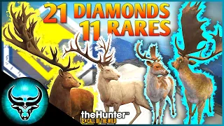 IT'S 2021 BABY! Diamond & Rare Montage #3 | 21 Diamonds & 11 Rares | theHunter Call of the Wild