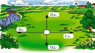 Як орієнтуватися в лісі. Розвиваюче відео. Природознавство другий клас.