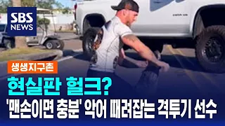 현실판 헐크?…'맨손이면 충분' 악어 때려잡는 격투기 선수 / SBS / 생생지구촌