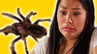 Arachnophobes Meet Spiders