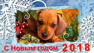 🎅С Новым годом и Рождеством! 🎆2018 Новый год собаки. 🎄Видео поздравление на новый год 2018 год