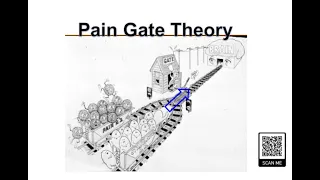 Best Example of Pain Gate Theory | Pain Modulation | Gate Control Theory | Pain Mechanism | TENS