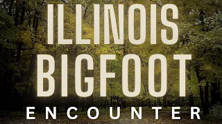 BIGFOOT EYE SIGHTING ENCOUNTER (ILLINOIS) IT WAS HUNTING CATTLE